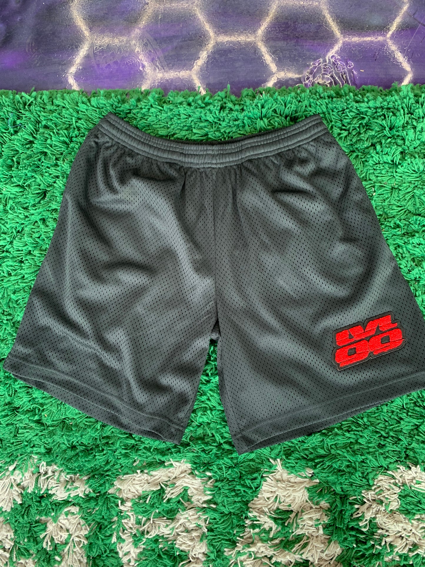 Lvl 99 mesh shorts