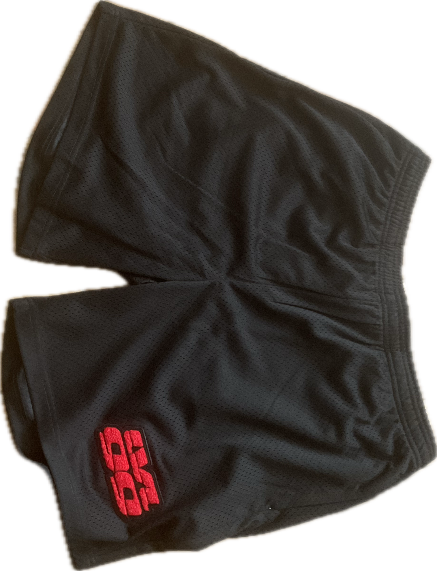 Lvl 99 mesh shorts