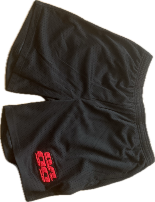Lvl 99 mesh shorts