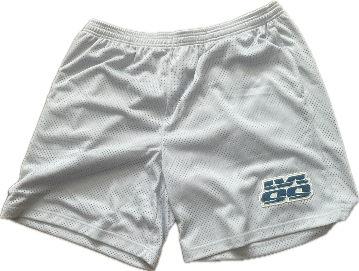 Lvl 99 mesh shorts